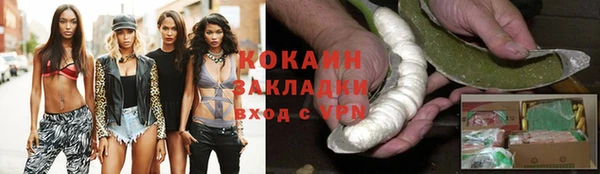 прущие грибы Сосновка