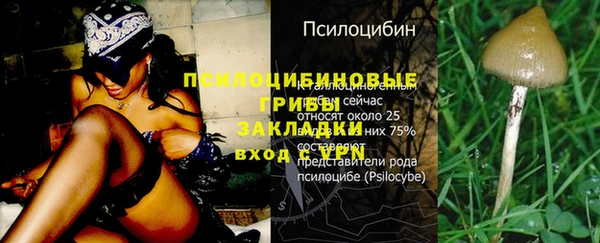 ECSTASY Сосновый Бор